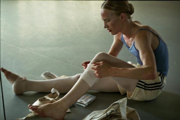 Filmilahing palmide all