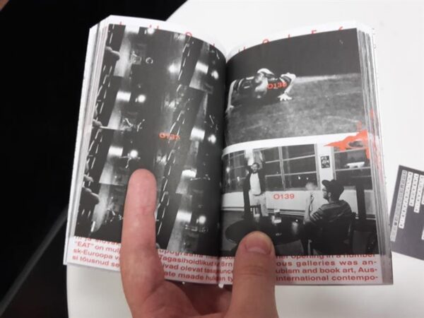 Brno biennaal ja Eesti