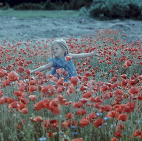 Mustam&auml;e h&auml;&auml;l