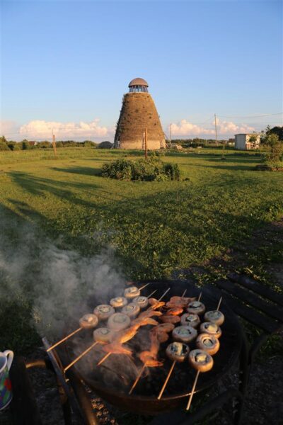 Roosa m&uuml;ts  &ndash; Elust erutuda