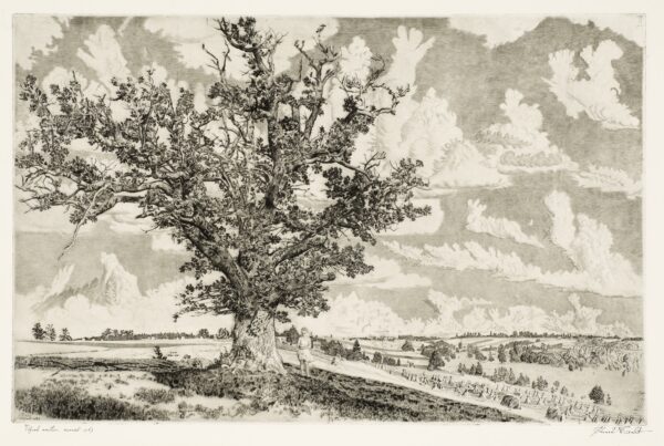 Argitraagika XVII  &ndash; Juurte needus