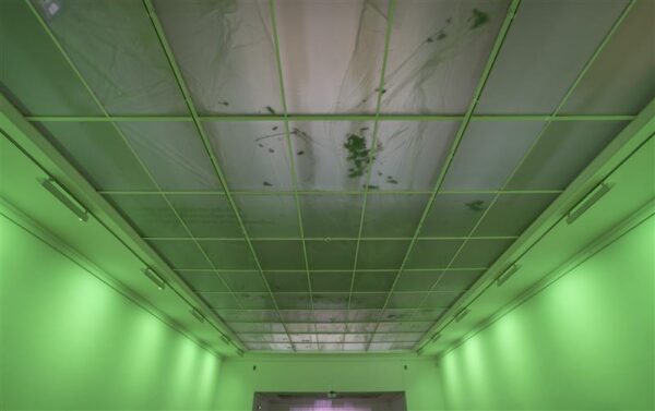 Unusta buum, keskendu kunstile!