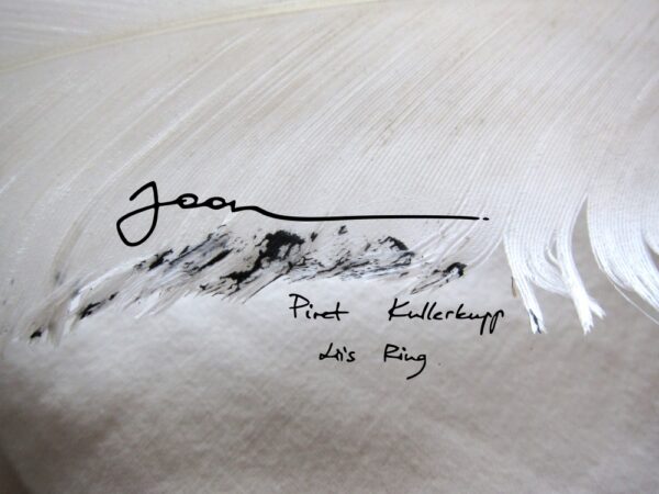 Piret Kullerkupp ja Liis Ring Tartu Kunstimajas