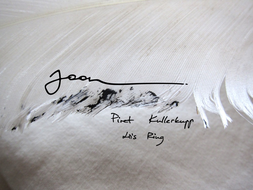 Piret Kullerkupp ja Liis Ring Tartu Kunstimajas