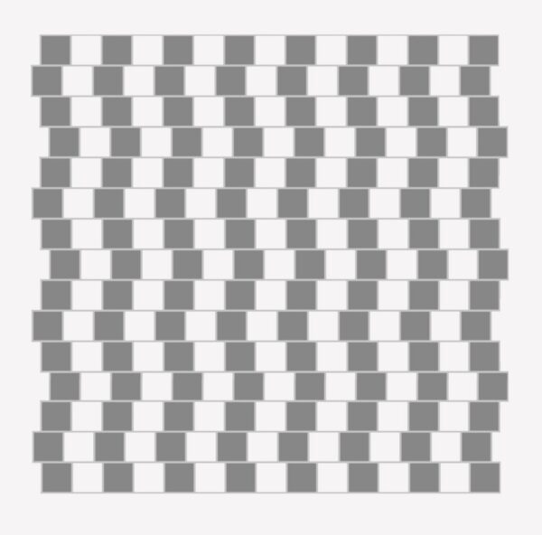 Anna Škodenko isikunäitus Tartu Kunstimajas