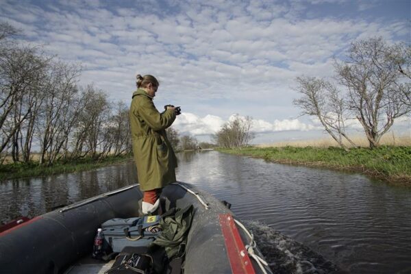 Tuulte tahutud Matjus