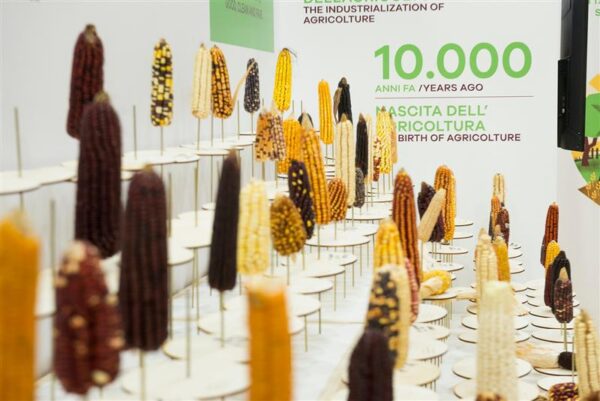 Terra Madre &ndash; nad tegid selle j&auml;lle &auml;ra