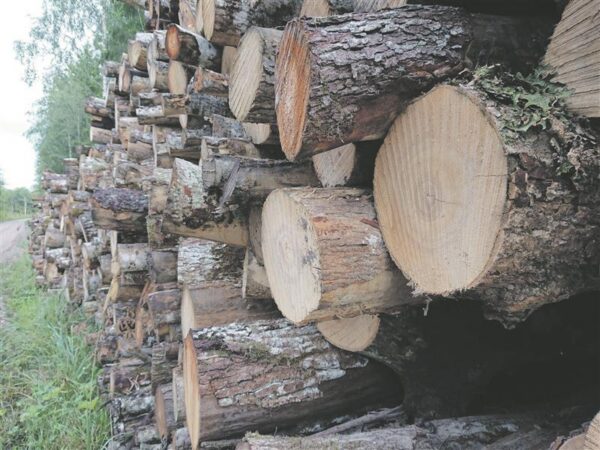 M&otilde;tleks kastist v&auml;lja, aga mida kastiga teha?