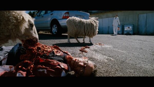 Post-s&otilde;nastik XLIII  &ndash; looma&otilde;udus