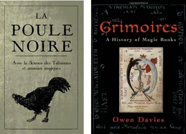 Kr&uuml;ptodetektiiv  jahib n&otilde;iaraamatut