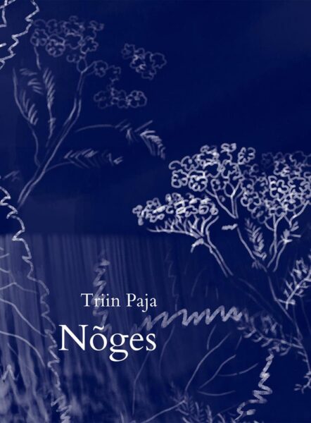 Roostes &otilde;untelt peegeldub tolmune meri