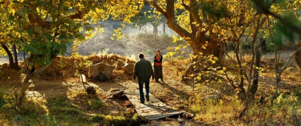 Kui vesi j&auml;&auml;b seisma, siis kasvab ta kinni