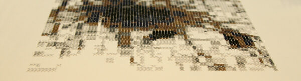 Tiina Kraavi “Kodustatud maastikud II” Nooruse galeriis