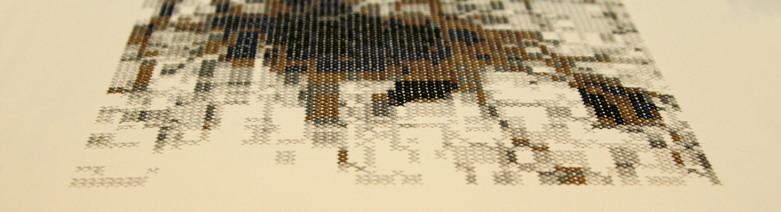 Tiina Kraavi “Kodustatud maastikud II” Nooruse galeriis