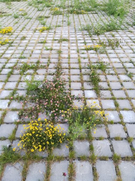 V&auml;liruumipealinn Tartu