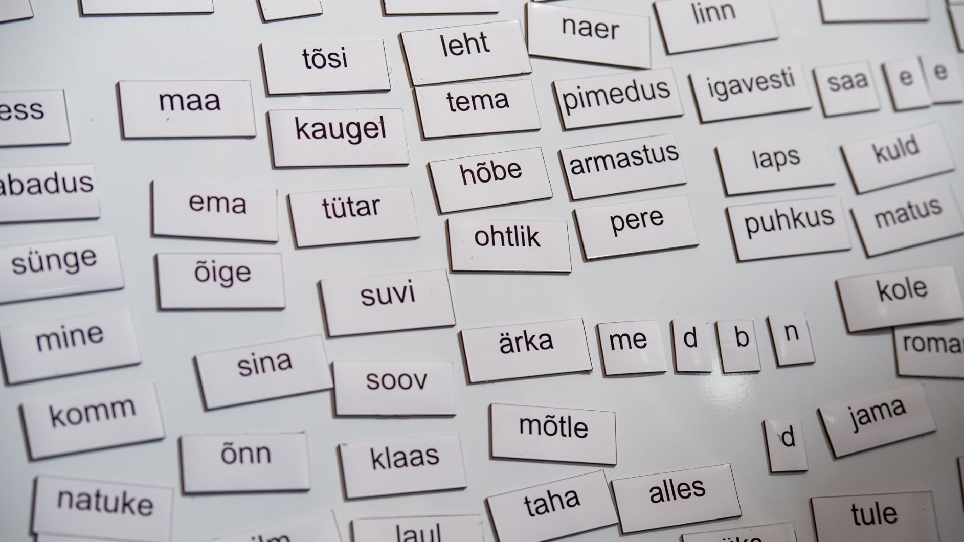 Rahvusringhäälingu suur keelealgatus otsib kõige eestilikumat sõna