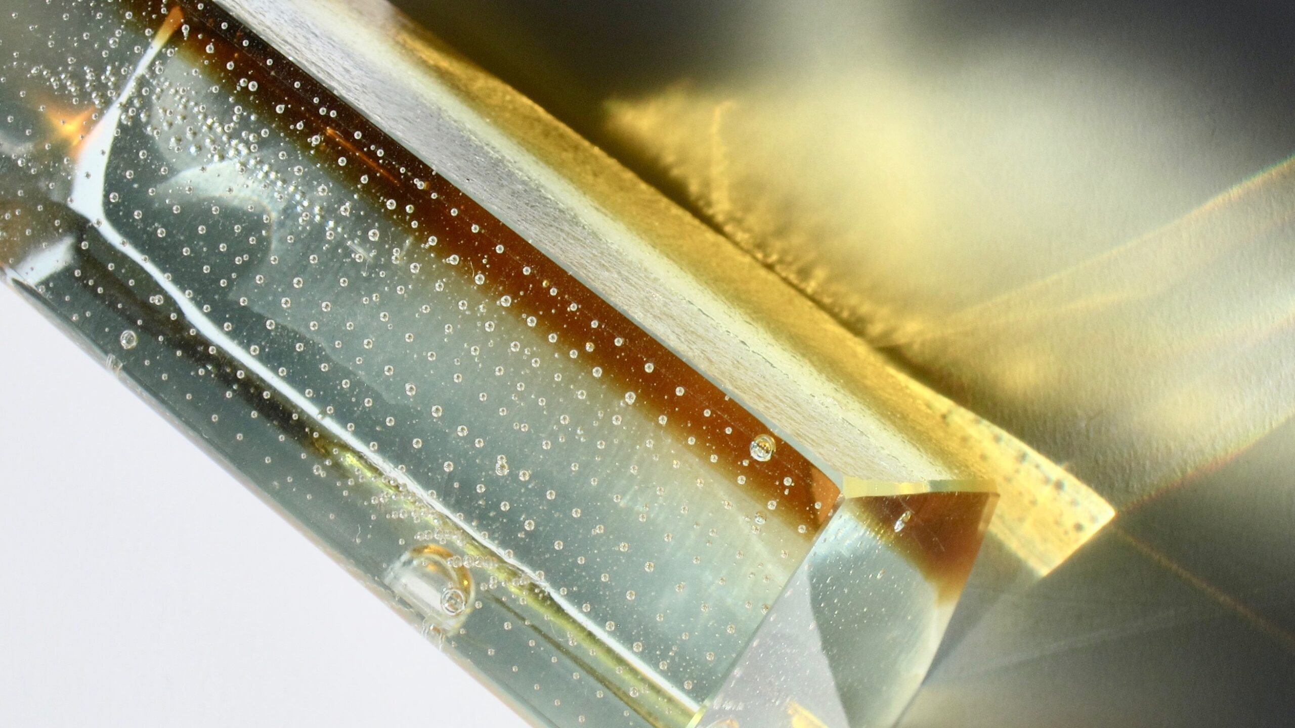 Maret Sarapu näitus “Kapijaanalind”