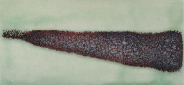 Avatakse Kersti Laanmaa isikunäitus “Roheline” Hop galeriis