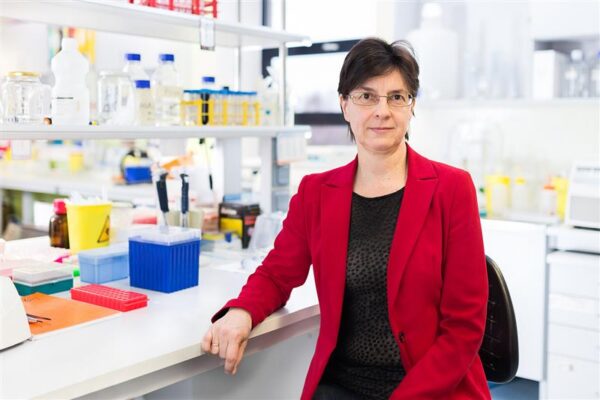 Teadus ja arendus k&auml;sik&auml;es