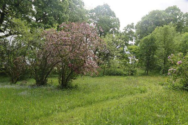 Loodushoid antropotseenis