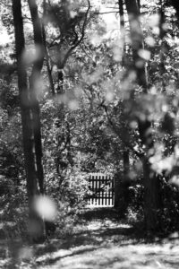 Elo ja Friedebert Tuglase koduaia eri tähenduskihte käsitlev näitus Kumus