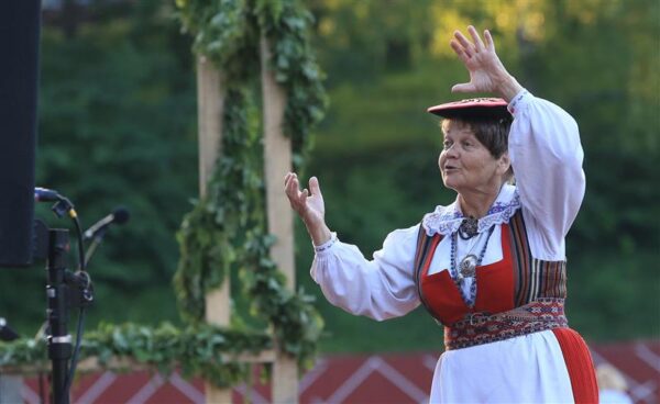 Mesipuu esimene lend