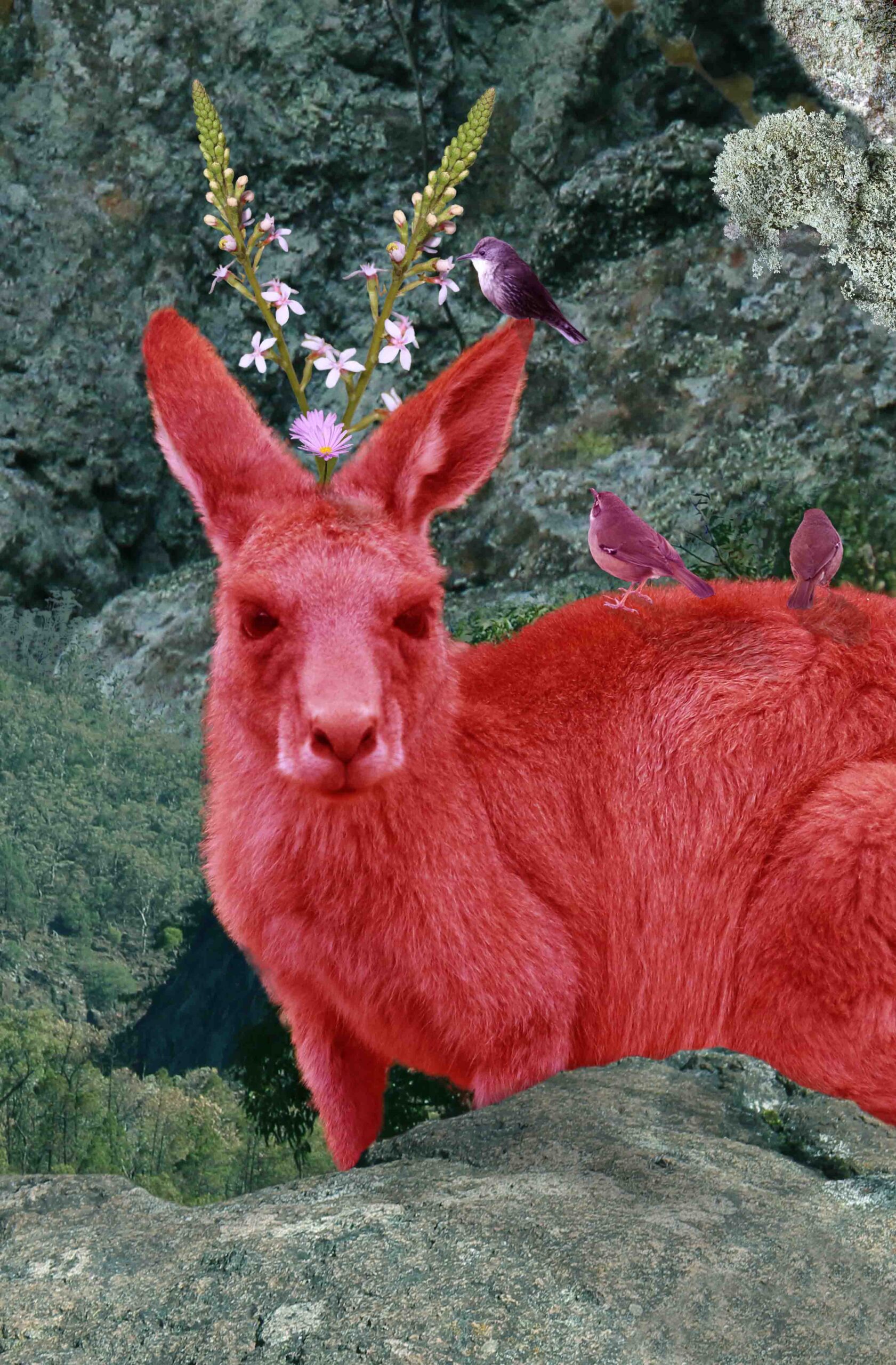 Austraalia kunstniku Anna Glynni näitus “ÜKSI JÄETUD” Uue Kunsti Muuseumis