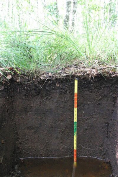 Pikisilmi k&otilde;rgemalt tulevaid reegleid oodates.  Mis saab siis, kui Euroopast k&auml;sulaudu ei tulegi?