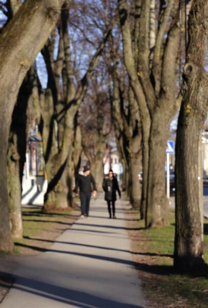 Puudest ja regulatsioonidest