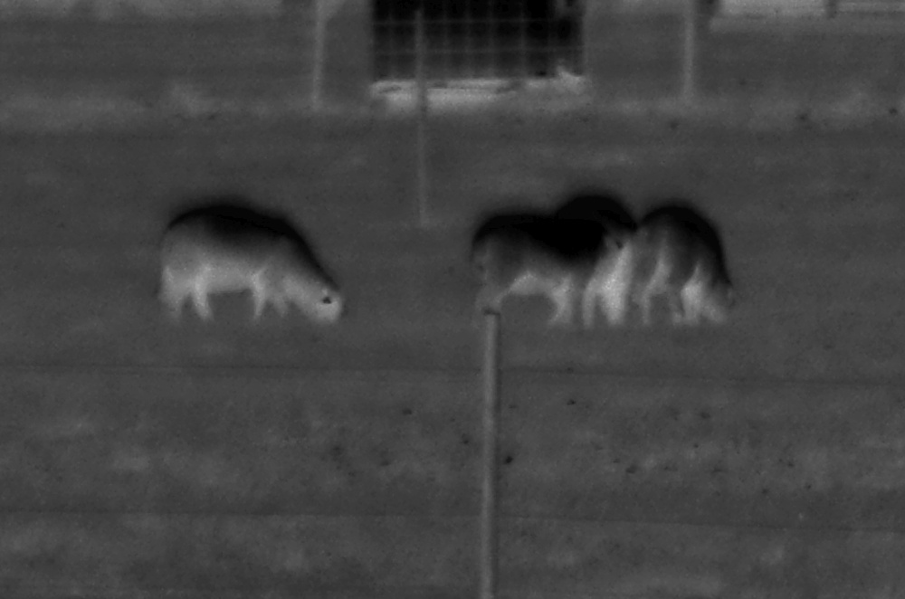 Jass Kaselaane isikunäitus Tartu Kunstimajas