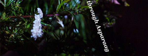 Mari-Leen Kiipli isikunäitus Tartu Kunstimajas