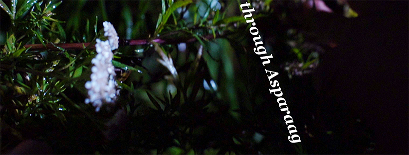 Mari-Leen Kiipli isikunäitus Tartu Kunstimajas