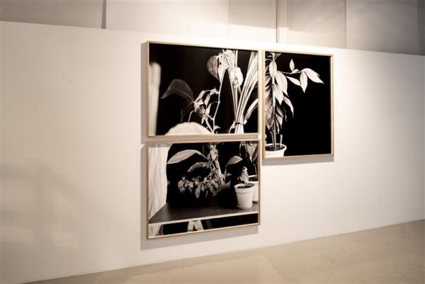 Kunstnik ja tisler, ungarlane ja eestlane D&eacute;nes Farkas