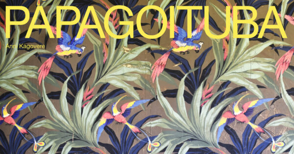 Anni Kagovere isikunäituse “Papagoituba“ A-galerii seifis