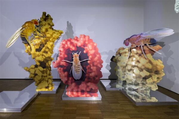 Kirik, m&auml;luasutus v&otilde;i lahinguv&auml;li?