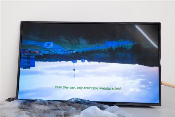 N&auml;itusevalvuri p&auml;evik  &ndash; Koer, kes k&otilde;nnib omap&auml;i