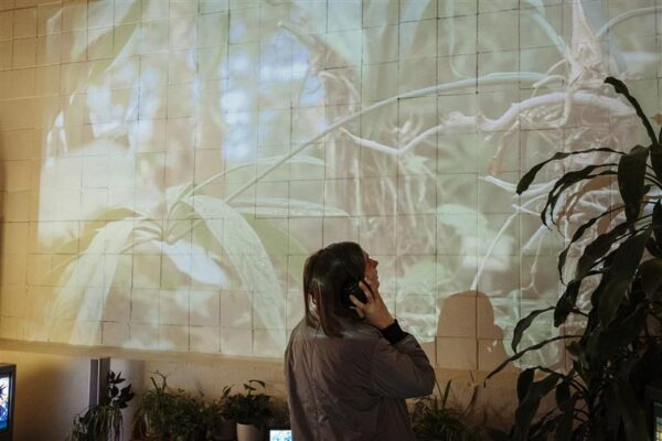 Orienteerumism&auml;ng Arsis