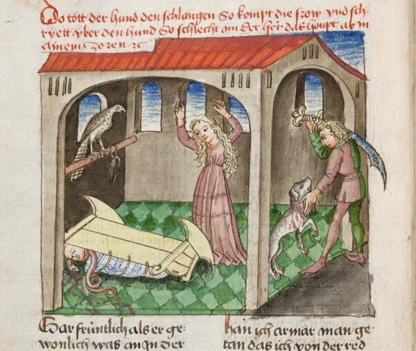 Taltsutamatud roomlased keskajal