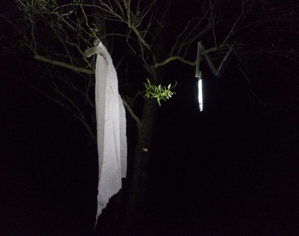 Krista Möldri näitus “enne kui päike meie silmi pimestas”