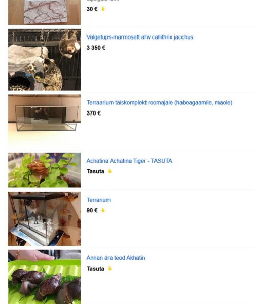 Miks ja kuidas reguleerida eksootiliste loomade kaubandust?