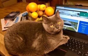 Kuidas koroonaviirus mõjutab sinu elu? ERM ootab lugusid ja pilte!