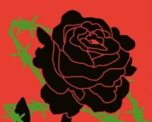 Vastuolude m&uuml;lgas R&auml;meparadiis