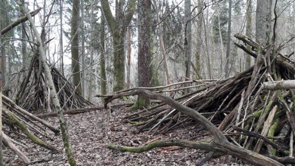 Gustav Suitsu auhind maheluulele