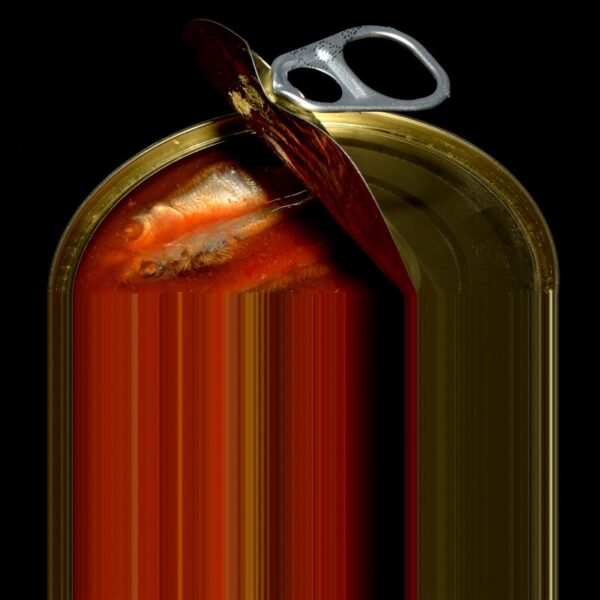 S&uuml;venemise ja armastusega