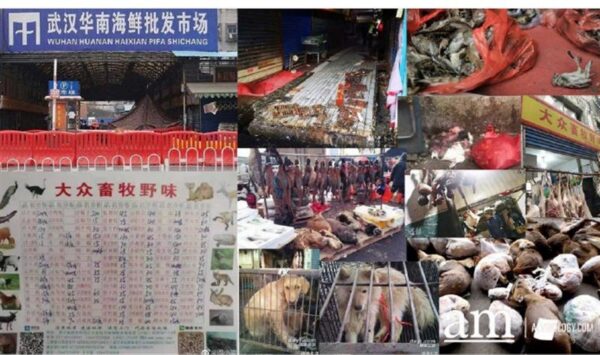 Kuna me teame loomadest nii palju