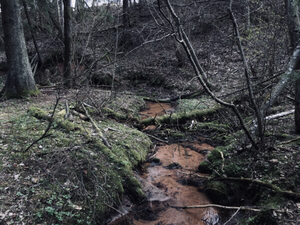 M&otilde;ra j&otilde;e kallast m&ouml;&ouml;da