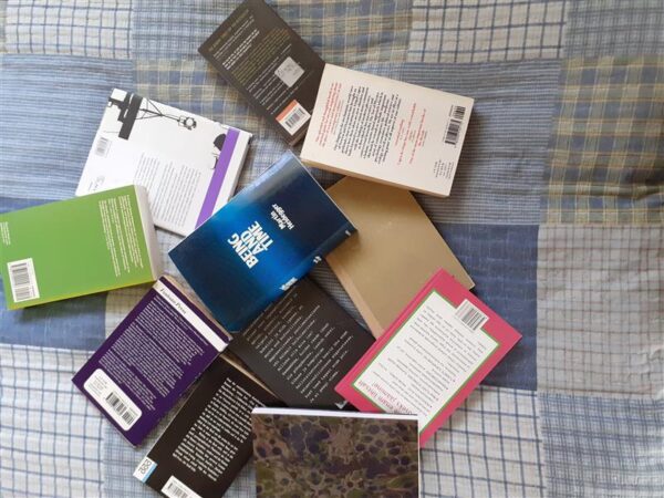 Post-s&otilde;nastik LI  &ndash; Kaanetekst