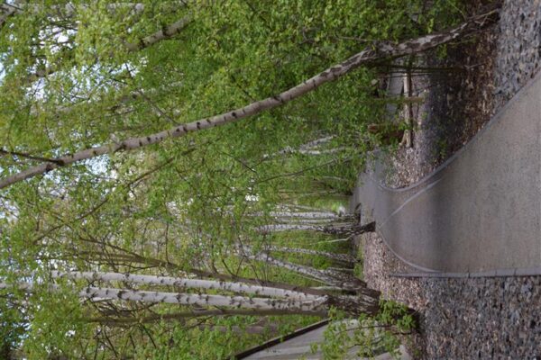 2&nbsp;+&nbsp;2 &nbsp;= ?