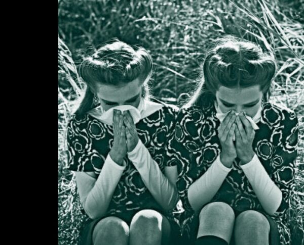 Eesti novelli 281. aasta