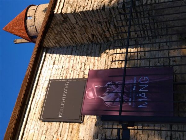 Viirus kui n&auml;htamatu zen-master*